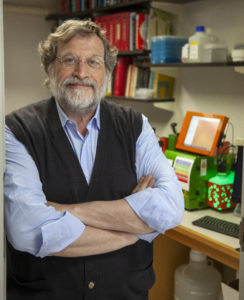 Jeffrey Ravetch, MD, PhD
