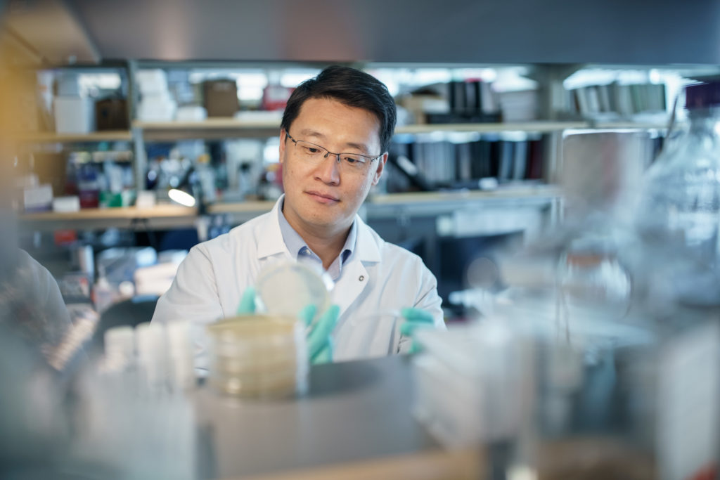 Weiguo Cui, PhD, an Associate Investigator at the Versiti Blood Research Institute