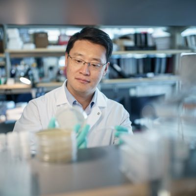 Weiguo Cui, PhD, an Associate Investigator at the Versiti Blood Research Institute